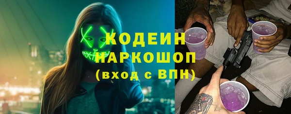меф Вяземский