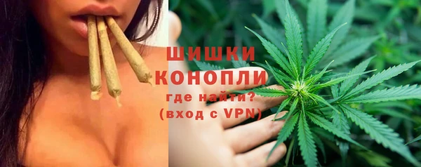 мдпв Вязьма