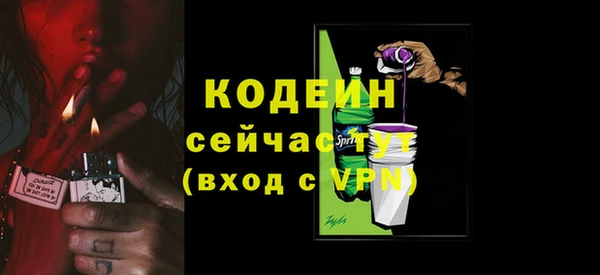 мдпв Вязьма