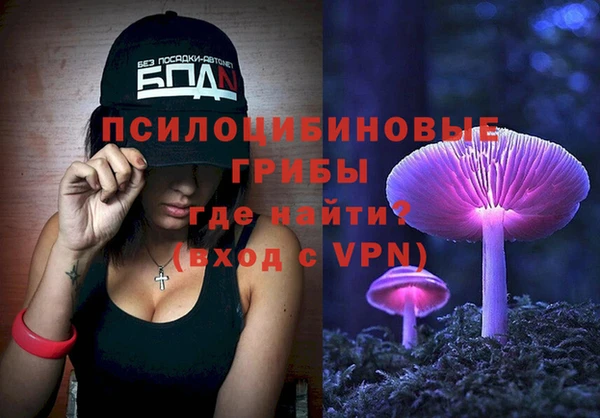 мдпв Вязьма