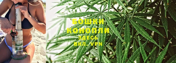 мдпв Вязьма