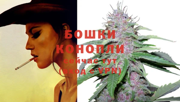 меф Вяземский
