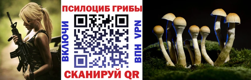 даркнет сайт  Ивдель  Галлюциногенные грибы Psilocybe 